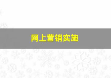 网上营销实施