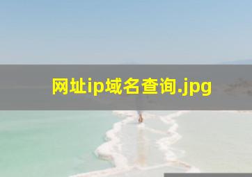 网址ip域名查询
