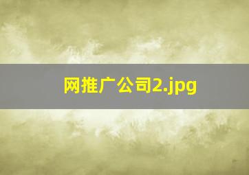 网推广公司