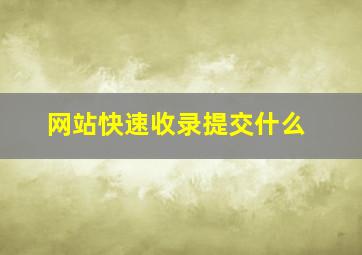 网站快速收录提交什么