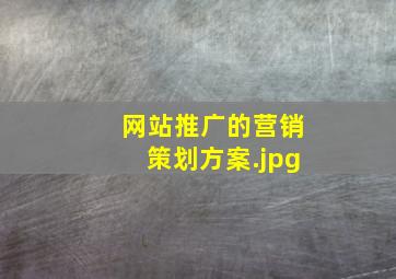 网站推广的营销策划方案