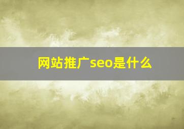 网站推广seo是什么