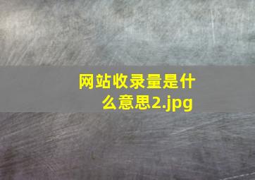 网站收录量是什么意思