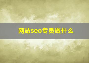 网站seo专员做什么