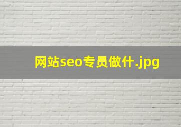 网站seo专员做什