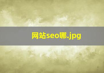 网站seo哪