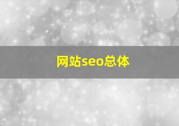 网站seo总体