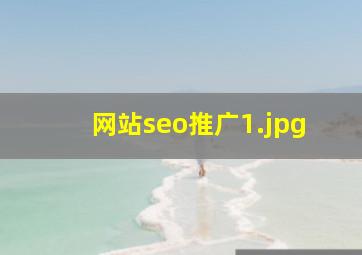 网站seo推广