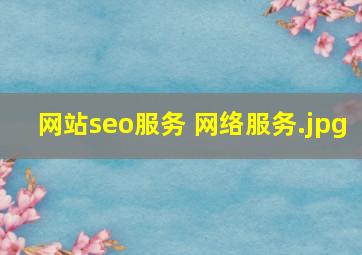 网站seo服务 网络服务