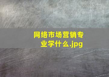 网络市场营销专业学什么