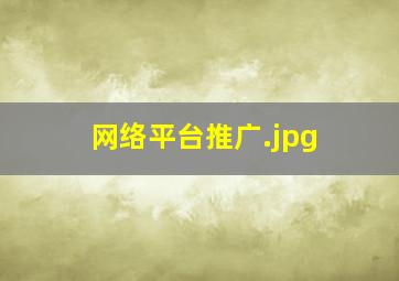 网络平台推广
