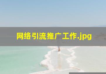 网络引流推广工作