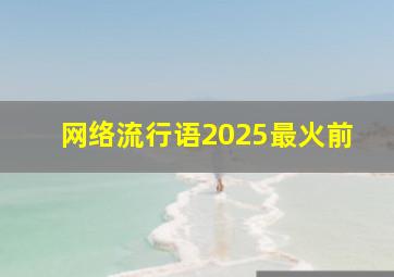 网络流行语2025最火前