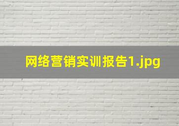 网络营销实训报告