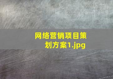 网络营销项目策划方案