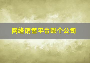 网络销售平台哪个公司