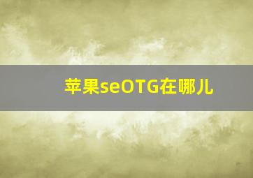 苹果seOTG在哪儿