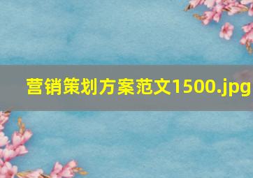 营销策划方案范文1500