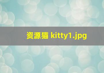 资源猫 kitty