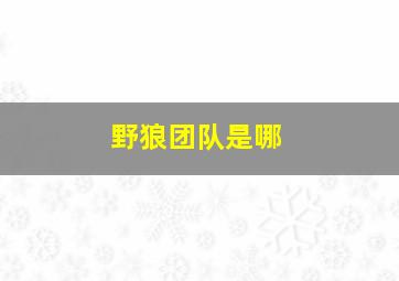 野狼团队是哪