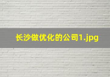 长沙做优化的公司