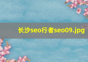 长沙seo行者seo09