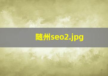 随州seo