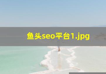 鱼头seo平台