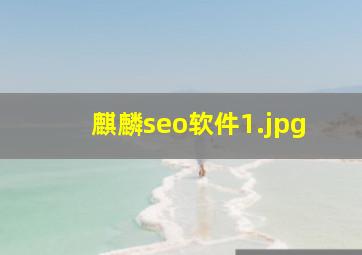 麒麟seo软件