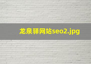 龙泉驿网站seo