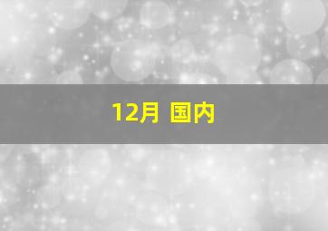 12月 国内 