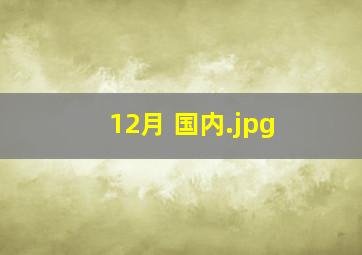 12月 国内