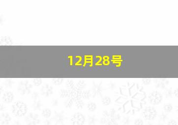 12月28号