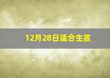 12月28日适合生孩