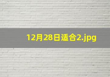 12月28日适合