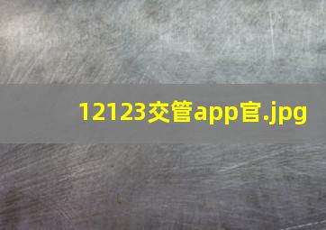 12123交管app官