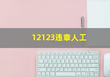 12123违章人工