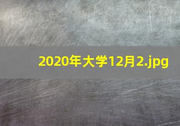 2020年大学12月