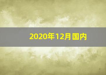 2020年12月国内