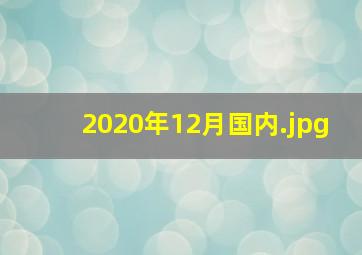 2020年12月国内