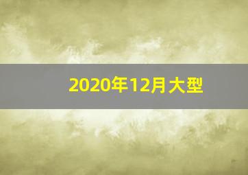 2020年12月大型