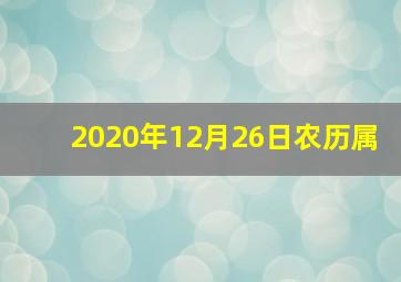 2020年12月26日农历属