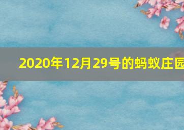 2020年12月29号的蚂蚁庄园