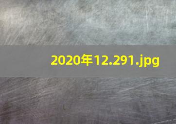 2020年12.29