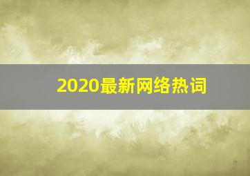 2020最新网络热词