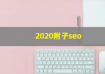 2020附子seo