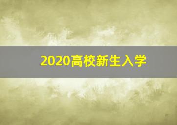 2020高校新生入学