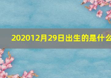202012月29日出生的是什么