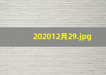 202012月29