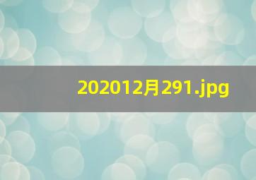 202012月29